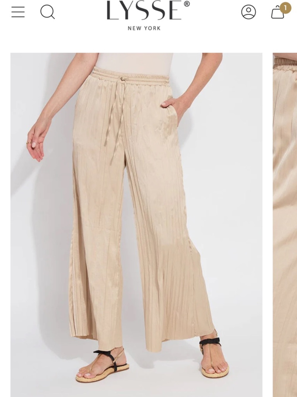 NWT Lysse Beige Wide-Leg Pleated Pull-On Pants